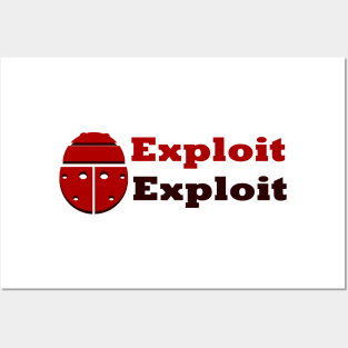 exploit: Ethical Hacker Online Cyber Expert Posters and Art